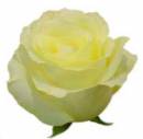   » Click to zoom ->