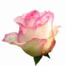   » Click to zoom ->