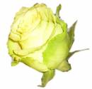   » Click to zoom ->