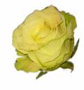   » Click to zoom ->