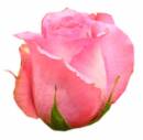   » Click to zoom ->